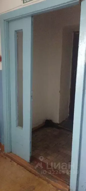 Помещение свободного назначения в Курганская область, с. Половинное ... - Фото 1