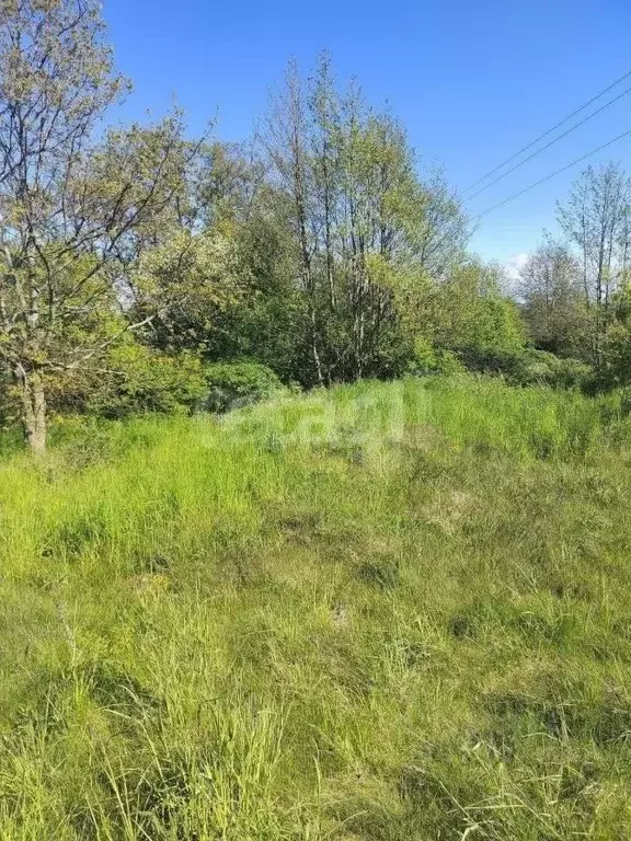 Участок в Калининградская область, Багратионовск  (7.52 сот.) - Фото 0