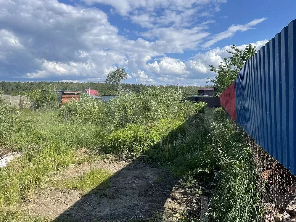 Участок 4 сот. (СНТ, ДНП) - Фото 1