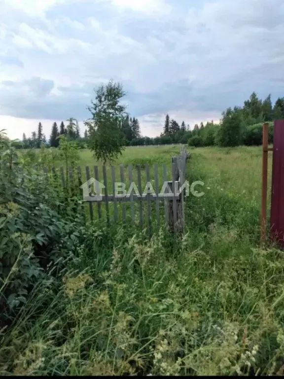 Участок в Вологодская область, Вытегорский район, Андомское с/пос, д. ... - Фото 0