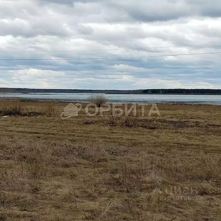 Участок в Тюменская область, Тюменский район, Архип садовое общество  ... - Фото 0