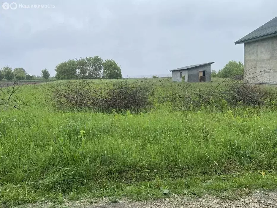 Участок в посёлок городского типа Яшкино, улица Лесоводов (20 м) - Фото 1