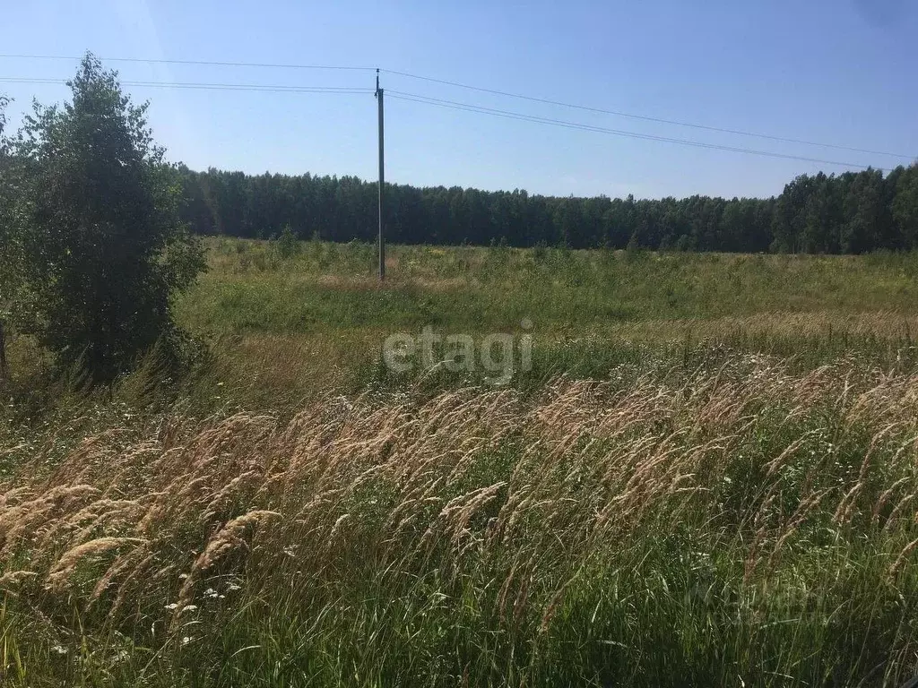 Участок в Калужская область, Юхновский муниципальный округ, Щелканово ... - Фото 1