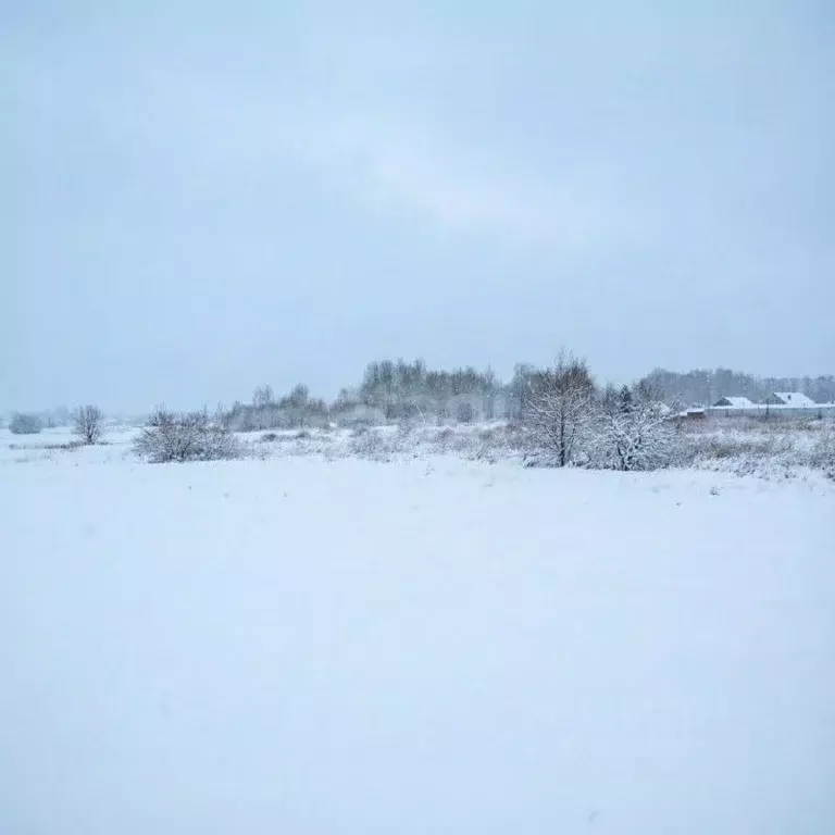 Участок в Тульская область, Щекинский район, Яснополянское с/пос, с. ... - Фото 1