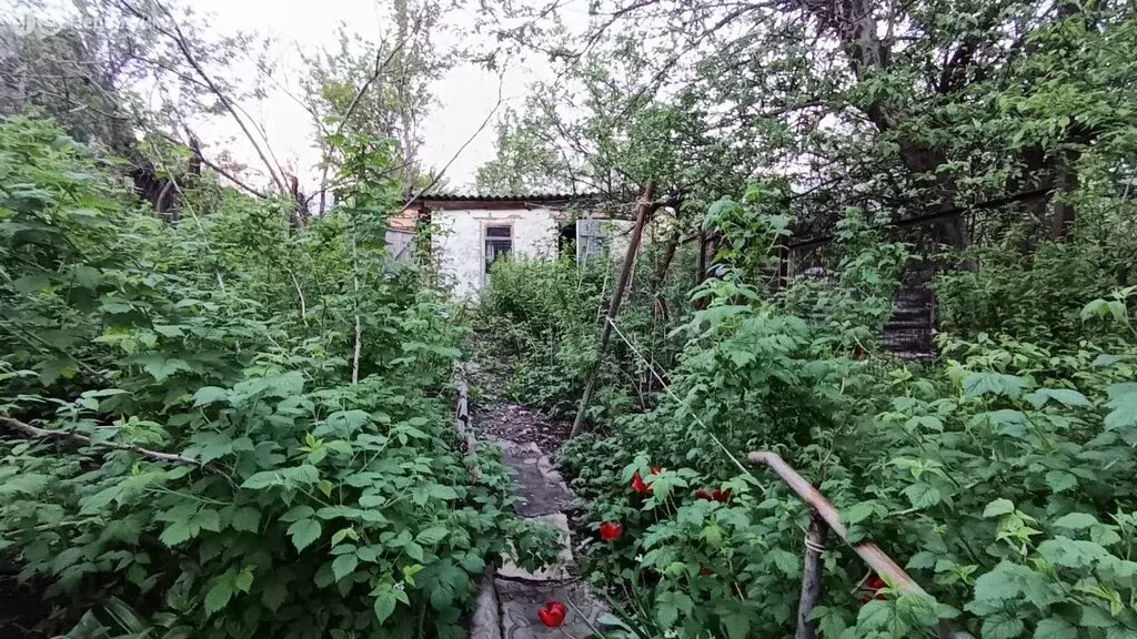 Дом в Курск, Новая Луговая улица (38.2 м) - Фото 2