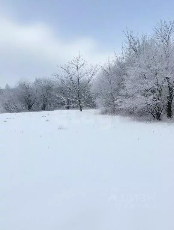 Участок в Ярославская область, Ярославский муниципальный округ, д. ... - Фото 1