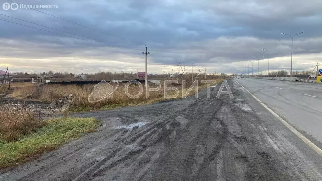 Участок в Тюменский муниципальный округ, посёлок Новотарманский (5 м) - Фото 2