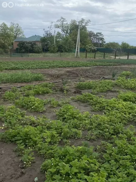 участок в село новобатайск, улица горожанова, 93 (10 м) - Фото 1