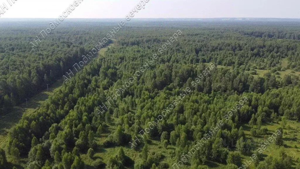 Участок, 1200 сот., фермерское хоз-во - Фото 1