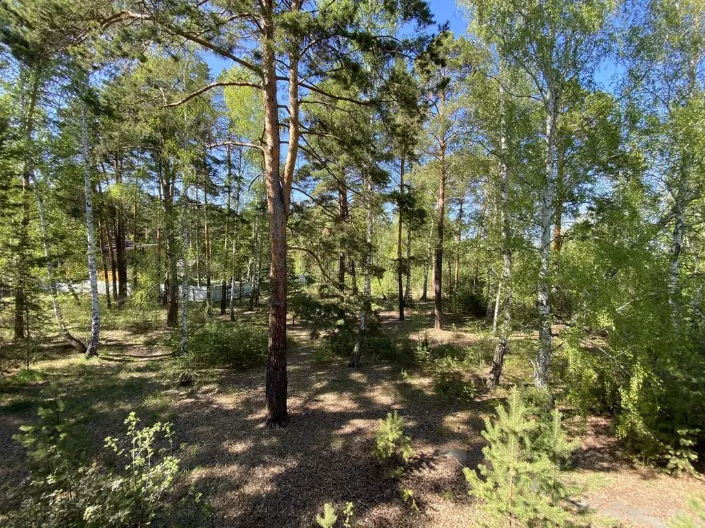 Участок в Челябинская область, Еткульский муниципальный округ, д. ... - Фото 2