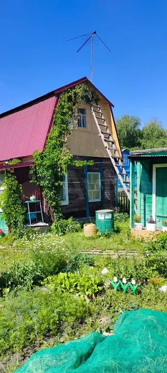 Дача 37 м на участке 4 сот. - Фото 1