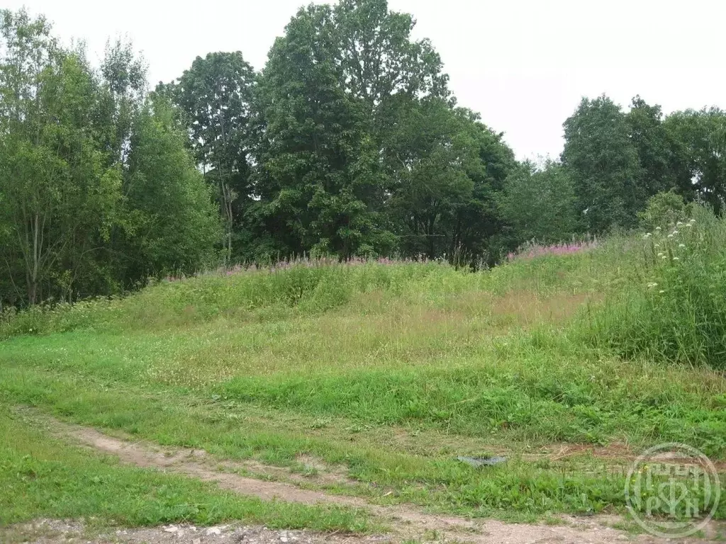 Участок в Ленинградская область, Лужский район, Ретюнское с/пос, д. ... - Фото 2