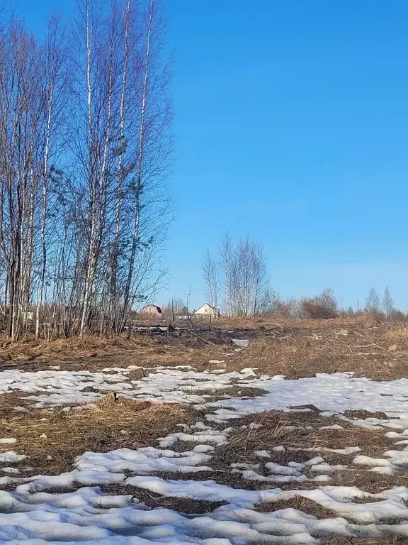 Участок в Ленинградская область, Ломоносовский район, Низинское с/пос  ... - Фото 1