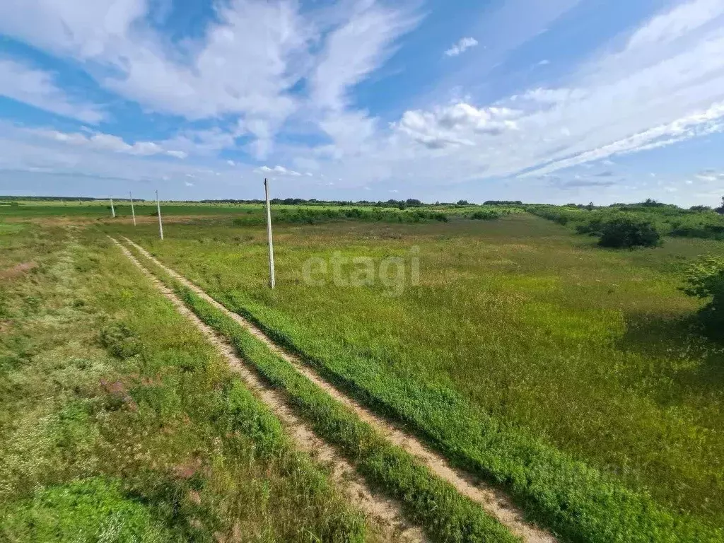 Участок в Омская область, Омский район, с. Красноярка ул. Стрельникова ... - Фото 0