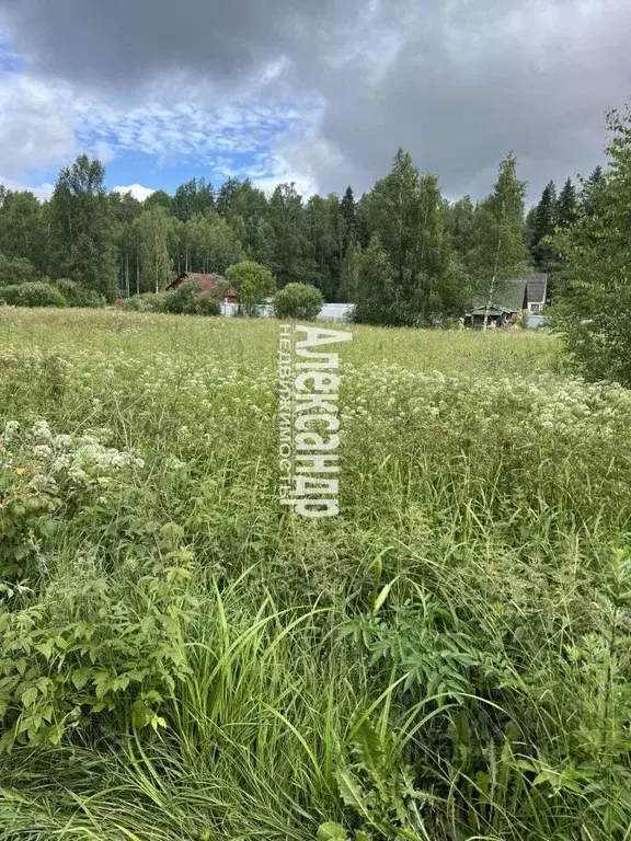 Участок в Ленинградская область, Выборгский район, Каменногорское ... - Фото 1