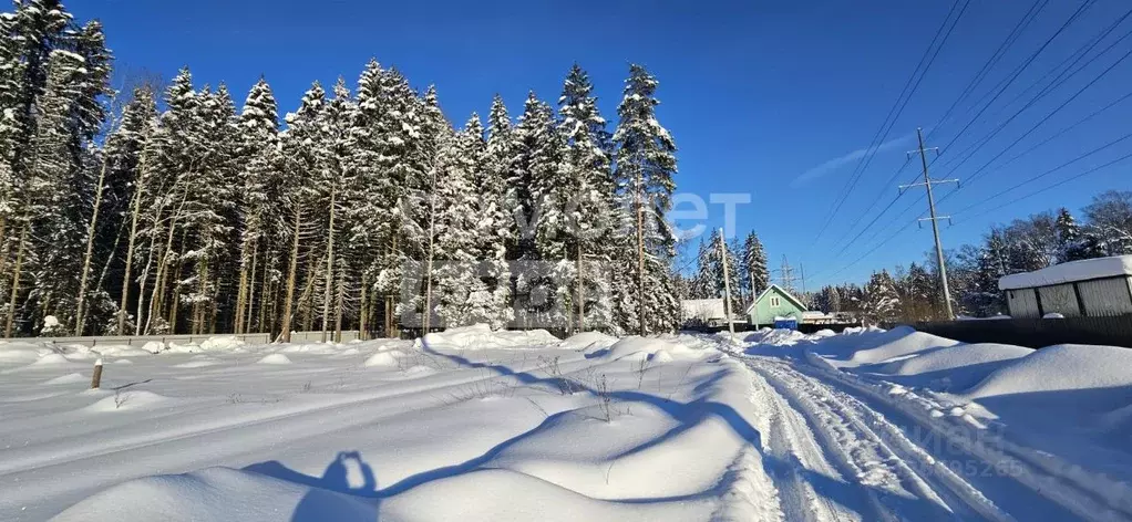 Участок в Московская область, Одинцовский городской округ, Весна СНТ  ... - Фото 2