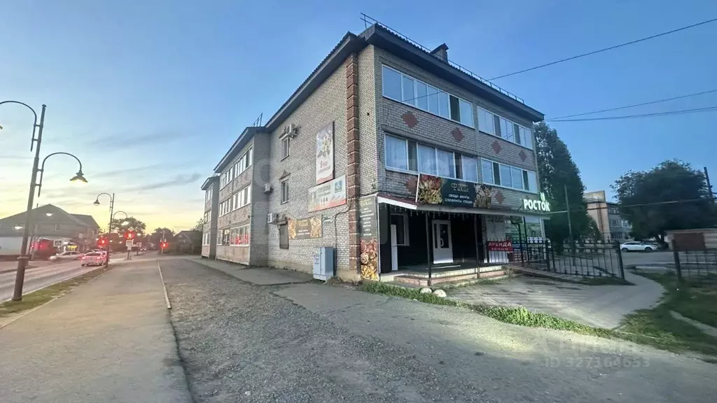 Помещение свободного назначения в Оренбургская область, Соль-Илецк ул. ... - Фото 1