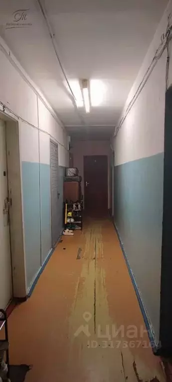 6-к кв. Ленинградская область, Гатчина ул. Чехова, 8 (258.8 м) - Фото 2