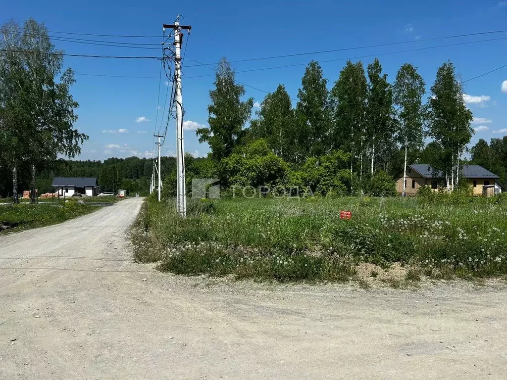 Участок в Новосибирская область, Новосибирский район, Раздольненский ... - Фото 1