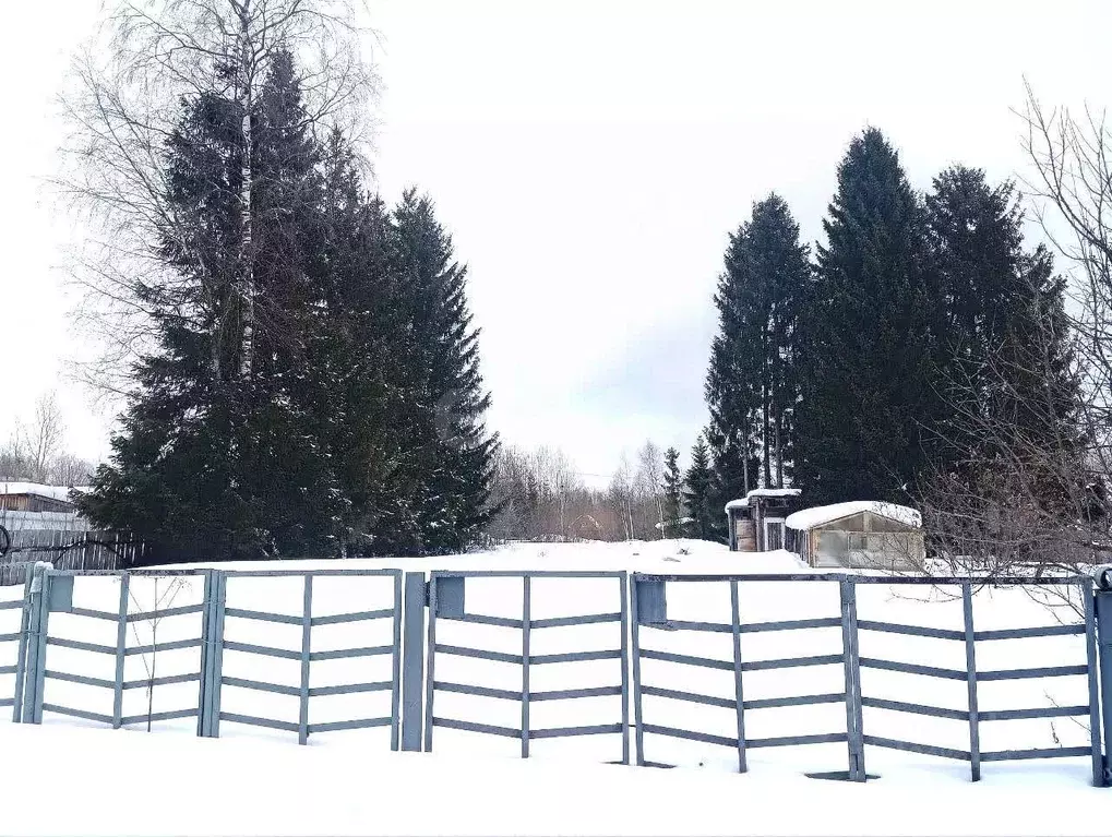 Участок в Вологодская область, Шограш садоводческое товарищество ул. ... - Фото 1