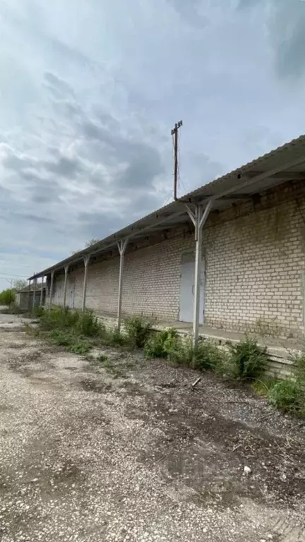 Помещение свободного назначения в Волгоградская область, Фролово ... - Фото 1