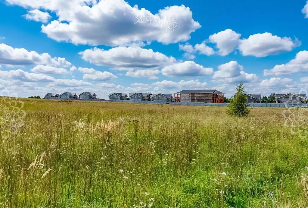 Участок в Московская область, Солнечногорск городской округ, д. ... - Фото 2