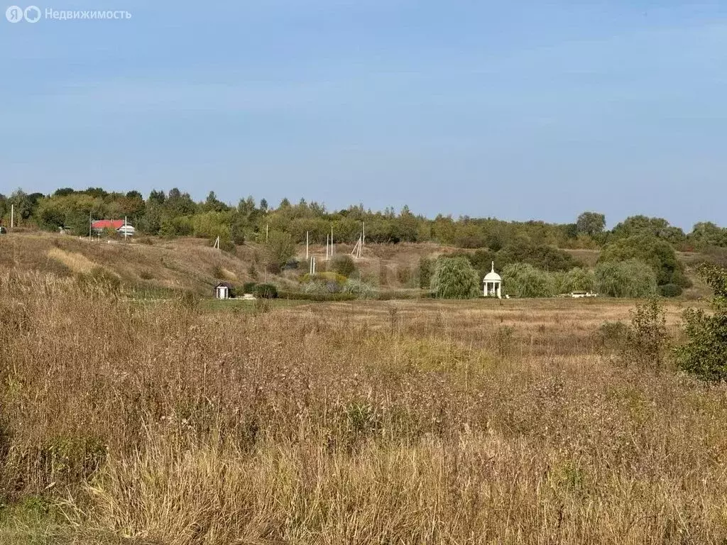 Участок в Кимовский район, сельское поселение Епифанское, село Себино ... - Фото 2