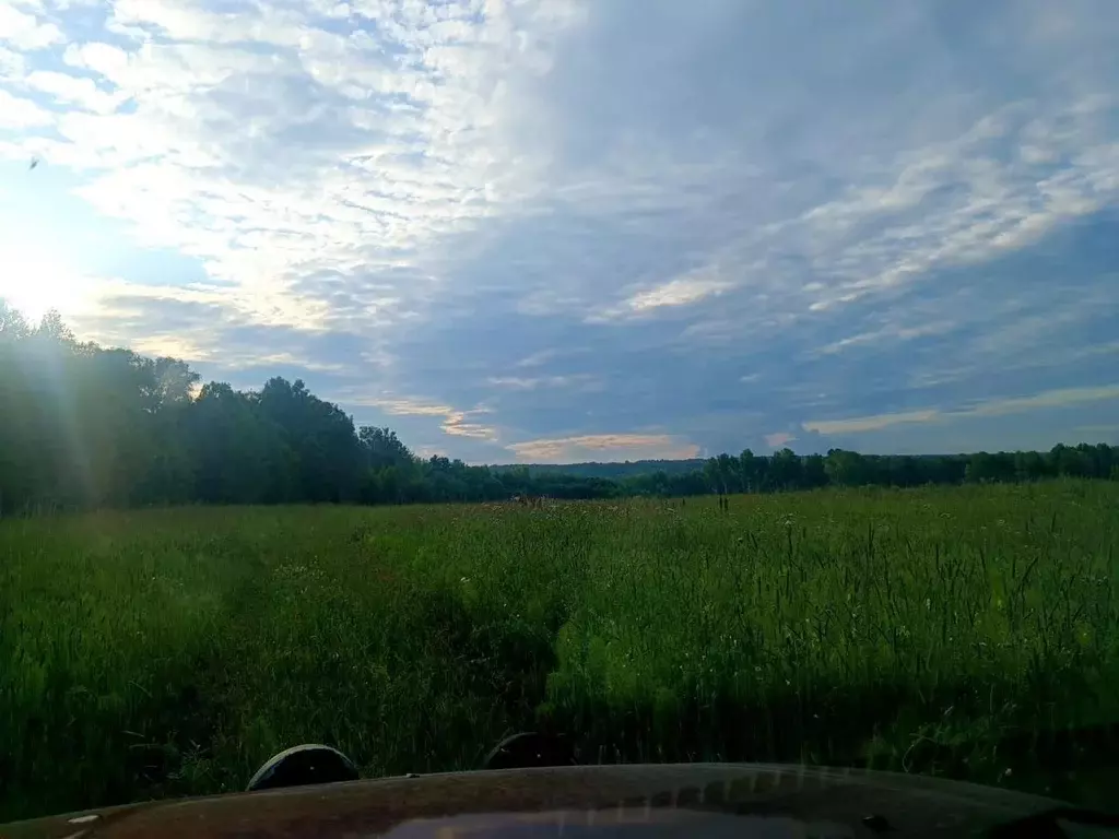 Участок в Новосибирская область, Искитимский район, Тальменский ... - Фото 2