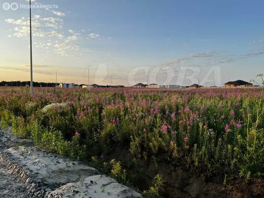 Участок в Тюменский район, деревня Елань, коттеджный посёлок ... - Фото 0