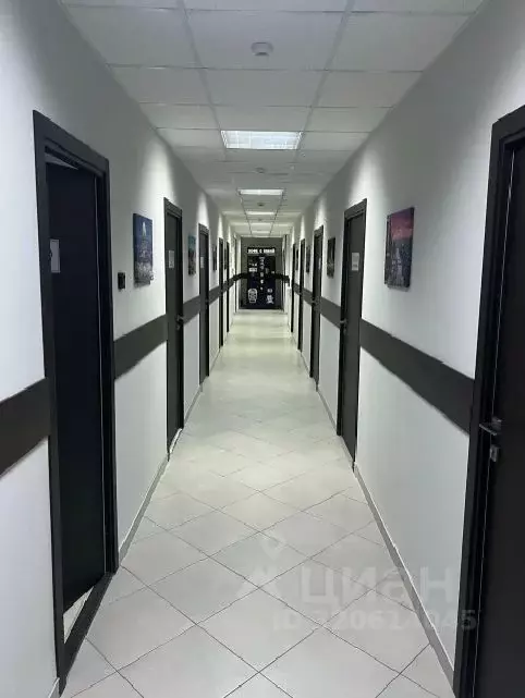 Офис в Московская область, Чехов муниципальный округ, д. Сергеево ул. ... - Фото 0