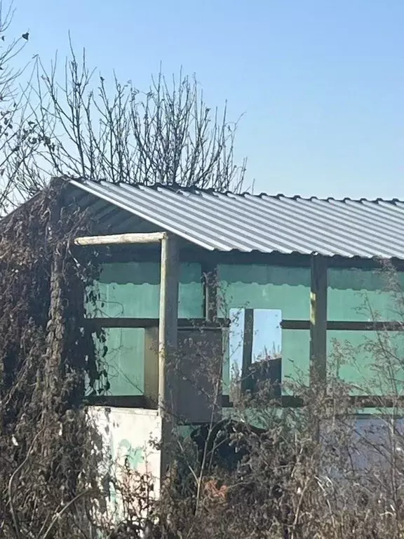 Дом в Курганская область, Катайский муниципальный округ, д. Ипатова ... - Фото 1