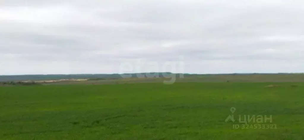 Участок в Крым, Ленинский район, Заветненское с/пос, с. Заветное ул. ... - Фото 2