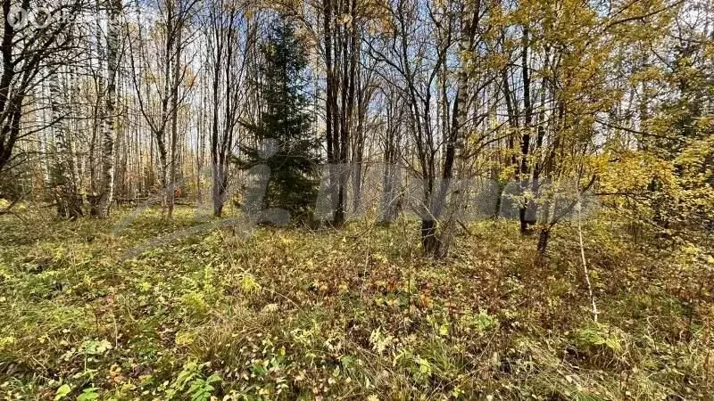 Участок в Наро-Фоминский городской округ, СНТ Алесь-2002 (10 м) - Фото 2