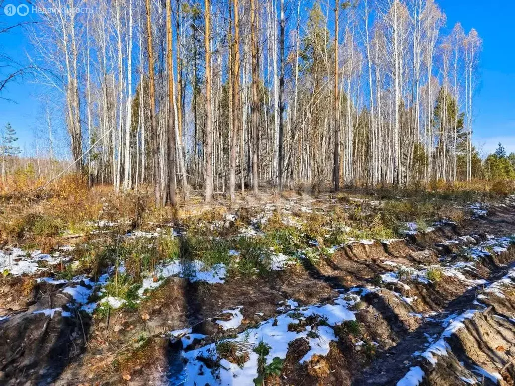 Участок в Тюменская область, Нижнетавдинский муниципальный округ, ... - Фото 2