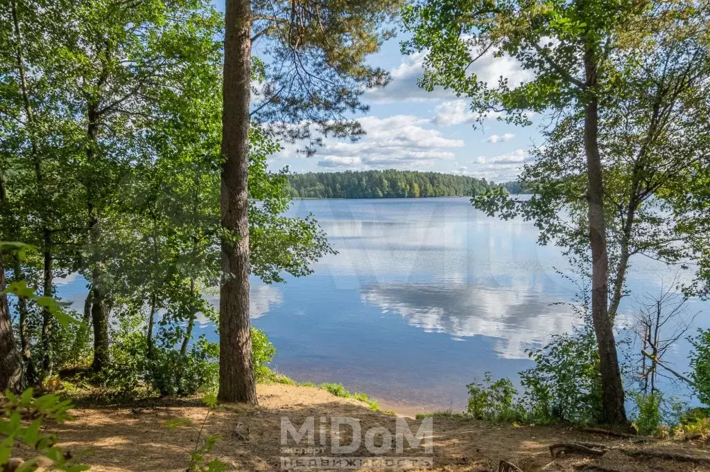 Участок с магазином в Колосково - Фото 1