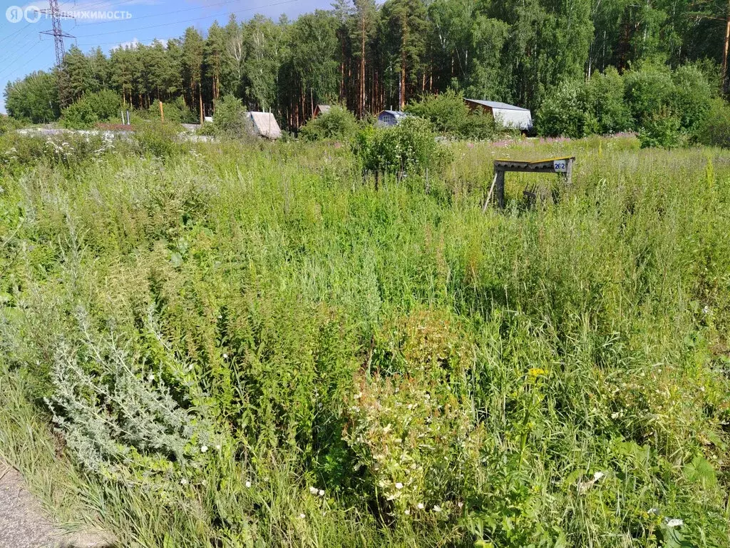 Участок в Асбест, СДТ Дружба Фабрики № 5 (7.5 м) - Фото 1