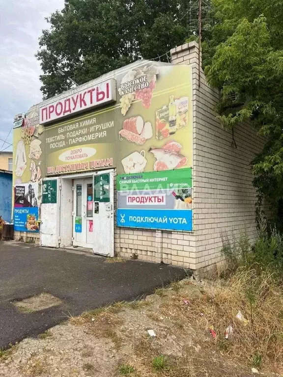 Помещение свободного назначения в Нижегородская область, Дивеевский ... - Фото 2