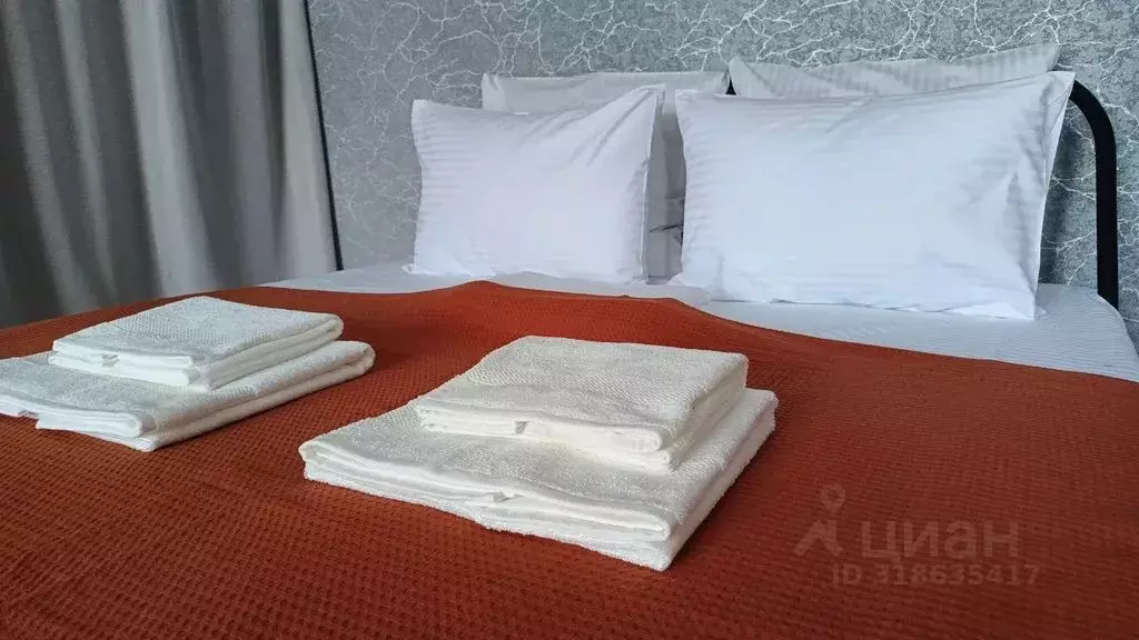 1-к кв. Новосибирская область, Новосибирск ул. Ватутина, 18А (29.0 м) - Фото 1