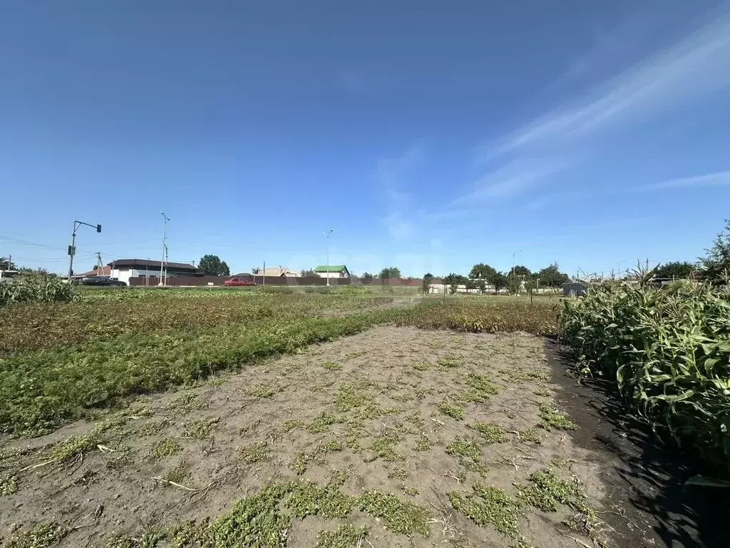 Участок в Белгородская область, Белгородский район, Разумное рп  (11.0 ... - Фото 2