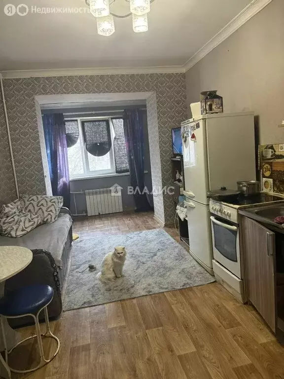 Квартира-студия: Благовещенск, Заводская улица, 31 (21.7 м) - Фото 2