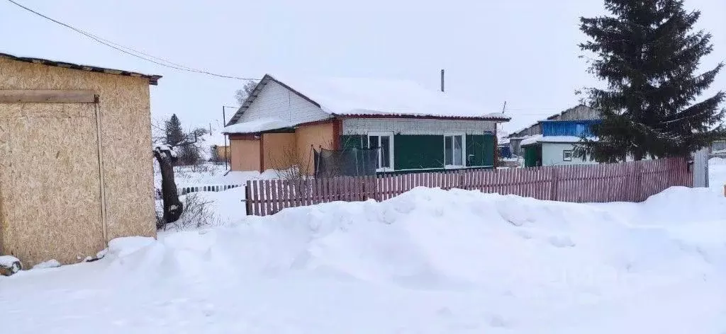 Участок в Омская область, Москаленский район, с. Звездино ... - Фото 0