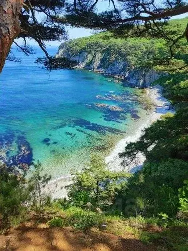 Участок в Приморский край, Хасанский муниципальный округ  (8124.0 ... - Фото 2