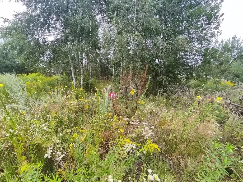Участок в Калужская область, Бабынинский муниципальный округ, ... - Фото 2