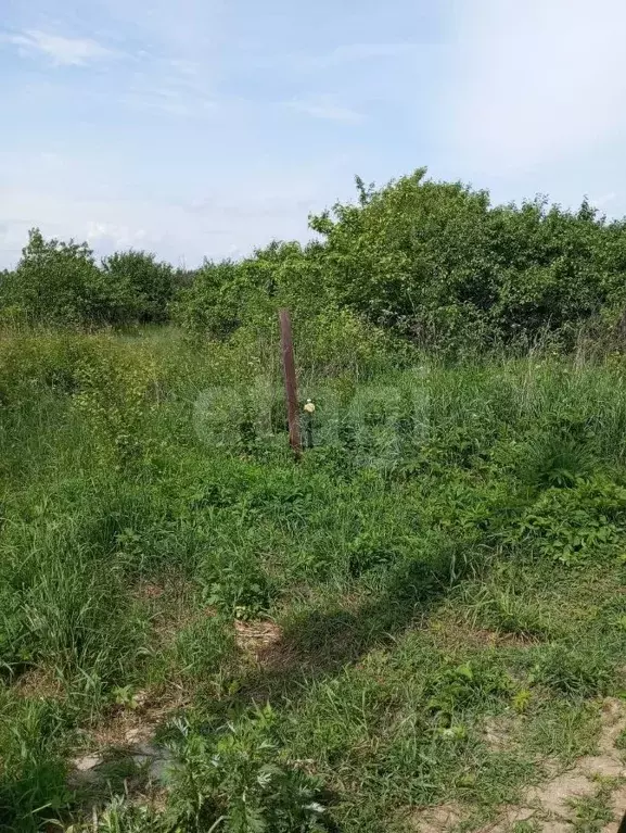 Участок в Костромская область, Кострома Майский СНТ,  (6.0 сот.) - Фото 1