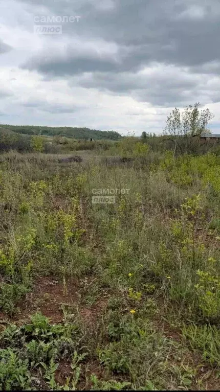 Участок в Башкортостан, Октябрьский пл. Имени Ленина (10.17 сот.) - Фото 1