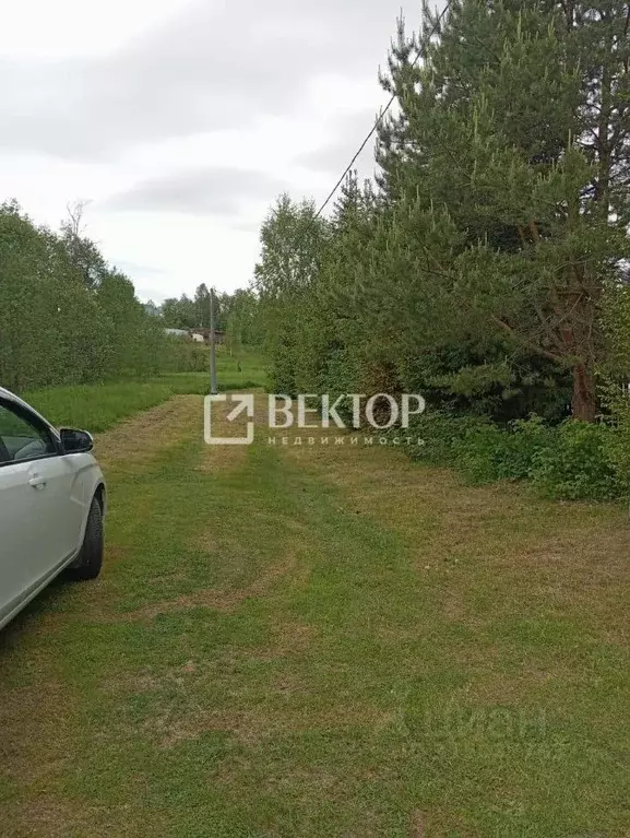 Участок в Костромская область, Красносельский район, Боровиковское ... - Фото 0
