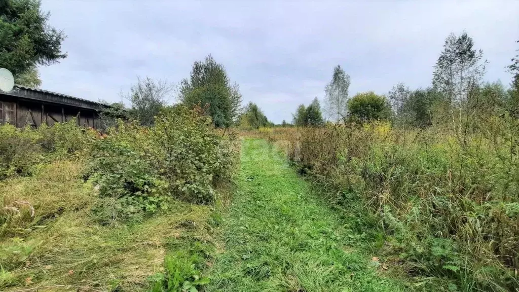 Участок в Новгородская область, Новгородский район, Трубичинское ... - Фото 0