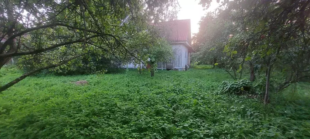 Участок в Санкт-Петербург пос. Петро-Славянка, Лесной просп., 22 ... - Фото 0