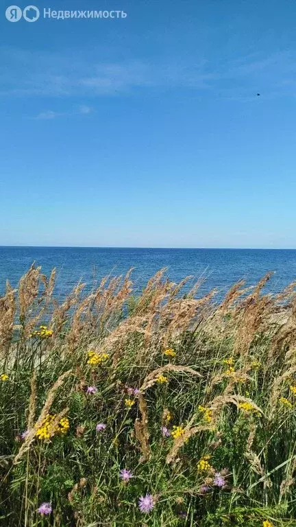 Участок в Калининградская область, Зеленоградский муниципальный округ, ... - Фото 1