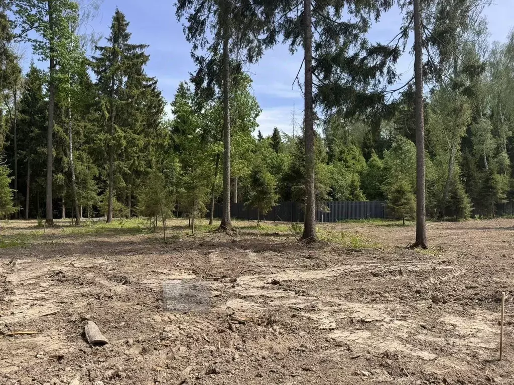 Участок в Московская область, Наро-Фоминский городской округ, д. ... - Фото 1